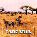 Tanzania Listings, News, Reviews & Narrative