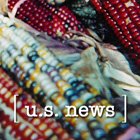 Return to Sentido's U.S. News main page