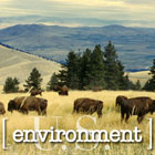 Sentido Global Environment News main page