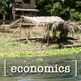 Stories on Global Economics Section