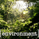 Global Environment Section